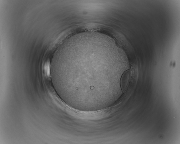 X0000111150046200906301347