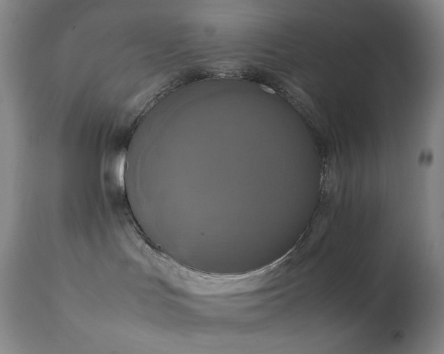 X0000111150047200906301347