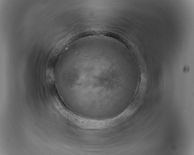 X0000111150048200906301347