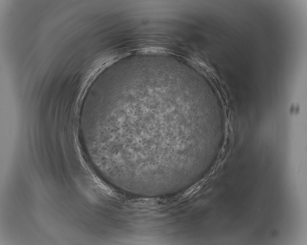 X0000111150049200906301346