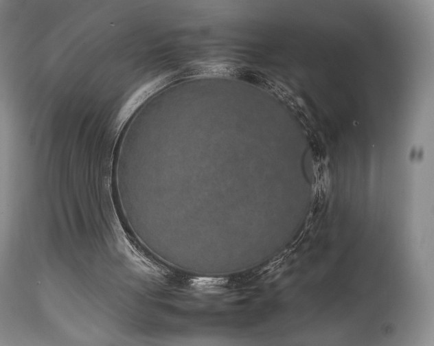 X0000111150051200906301346
