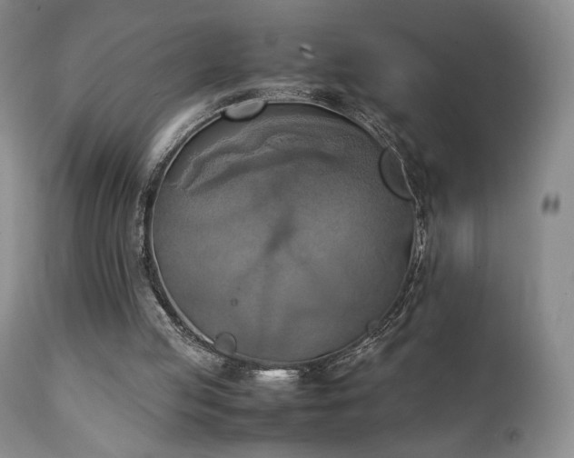 X0000111150053200906301346