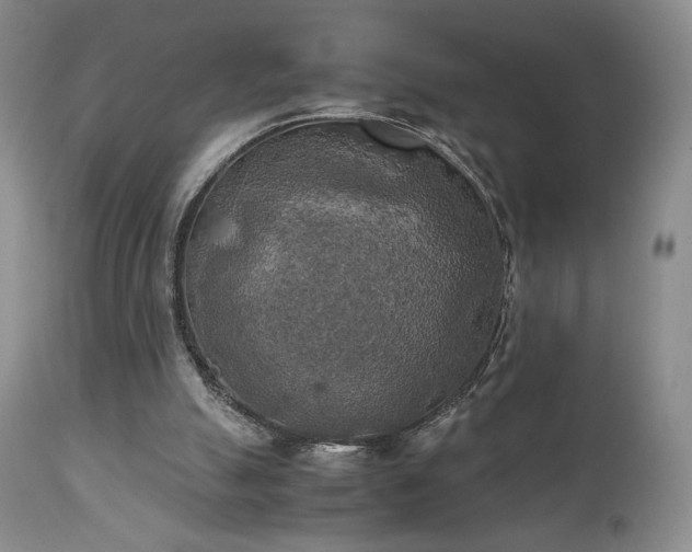 X0000111150055200906301346