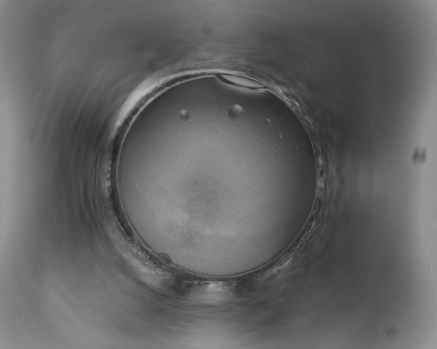 X0000111150056200906301346