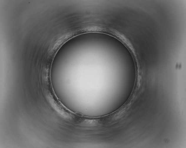 X0000111150057200906301346