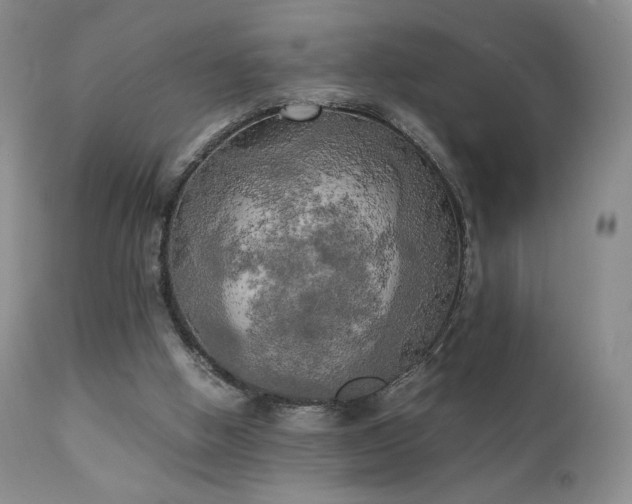 X0000111150058200906301346