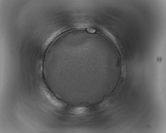 X0000111150059200906301346