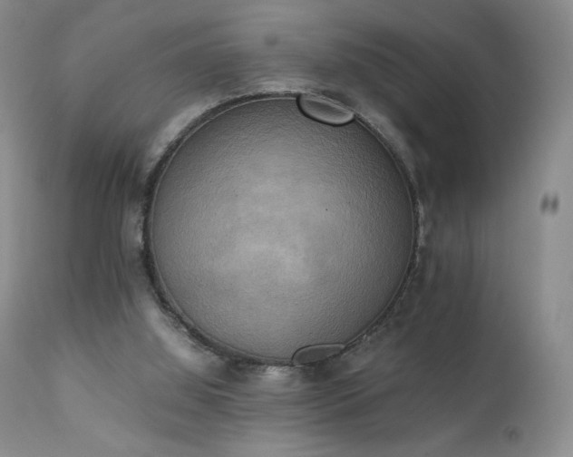 X0000111150060200906301346