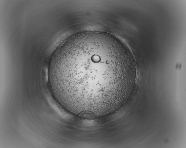 X0000111150061200906301346