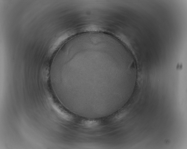 X0000111150063200906301347