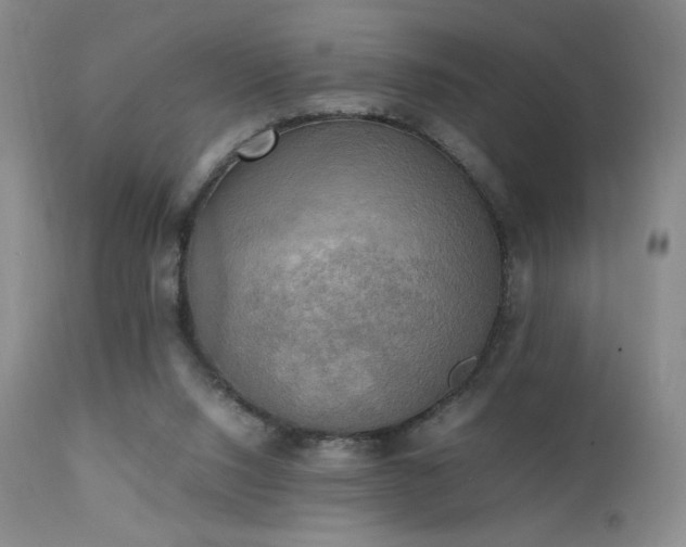 X0000111150064200906301347