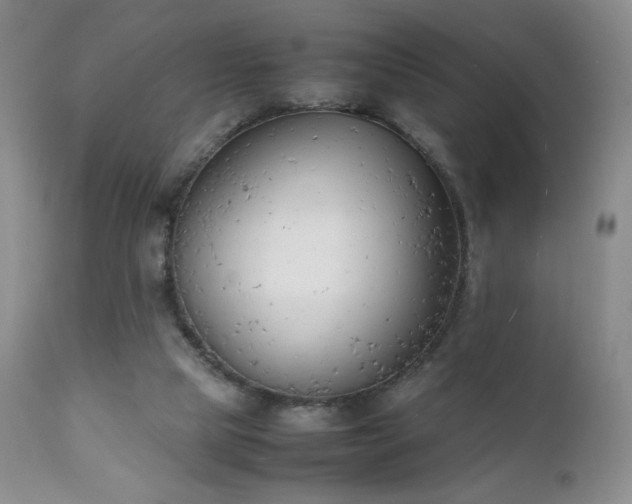 X0000111150065200906301347