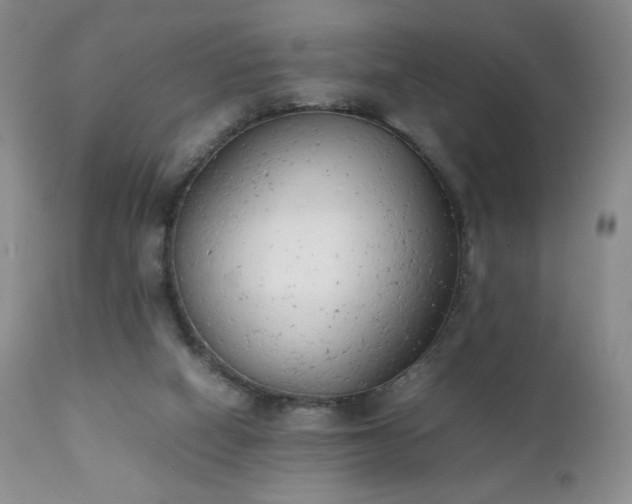 X0000111150066200906301347