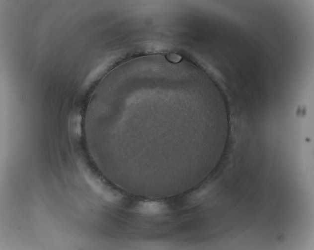 X0000111150067200906301347