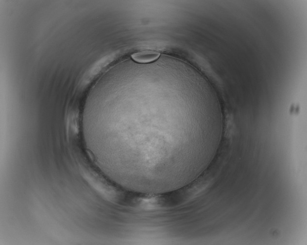 X0000111150068200906301347
