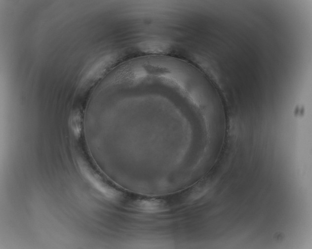 X0000111150069200906301347