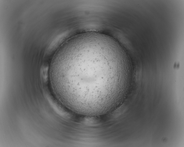 X0000111150070200906301347