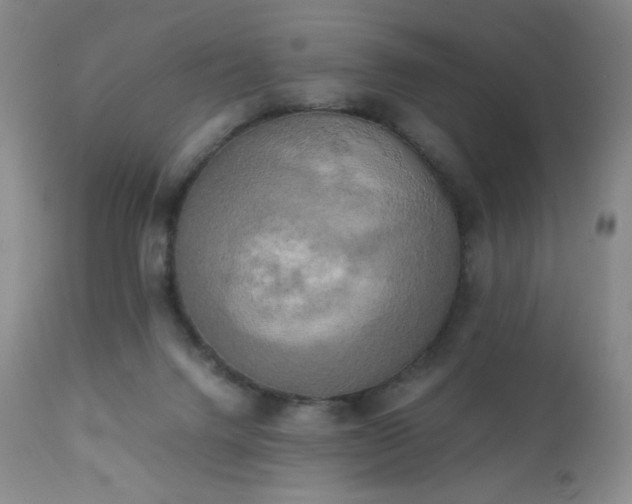 X0000111150072200906301347