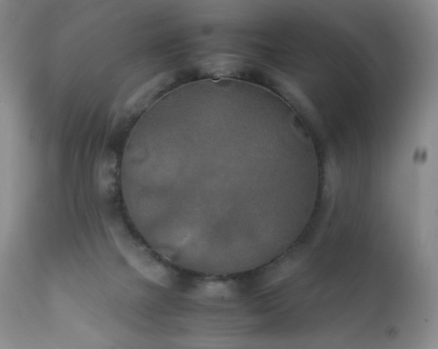 X0000111150073200906301347