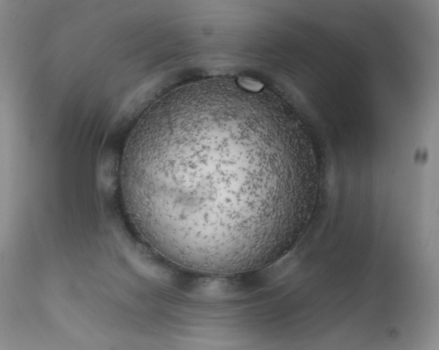 X0000111150074200906301347