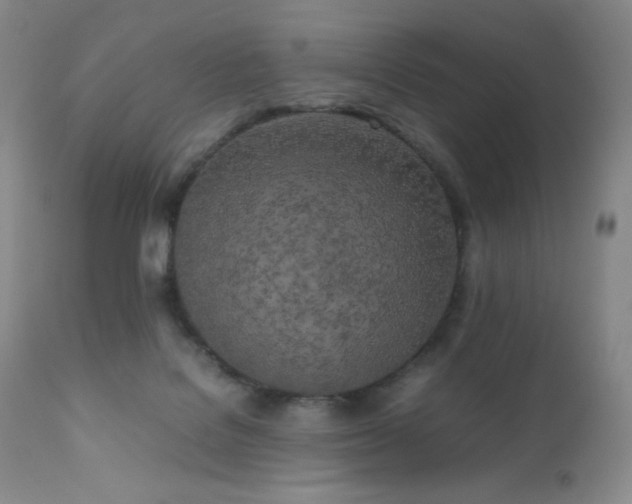 X0000111150076200906301347