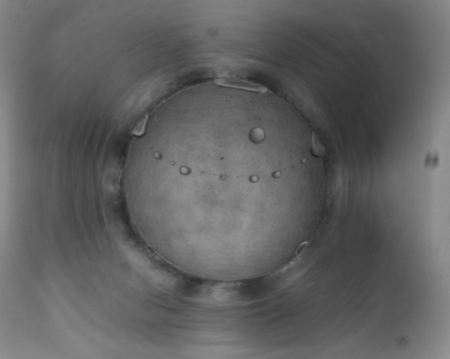 X0000111150078200906301347