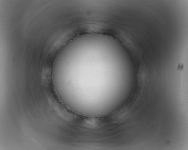 X0000111150079200906301347