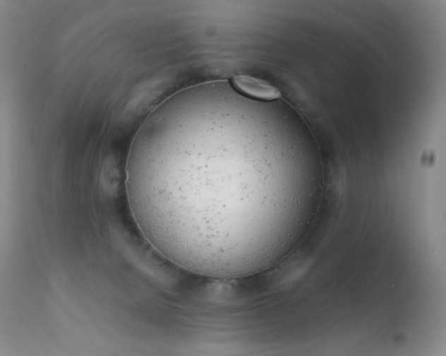 X0000111150080200906301347