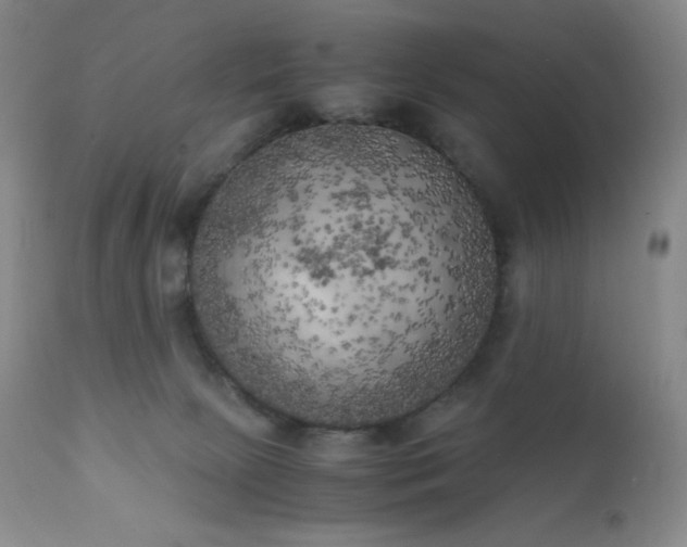 X0000111150081200906301347