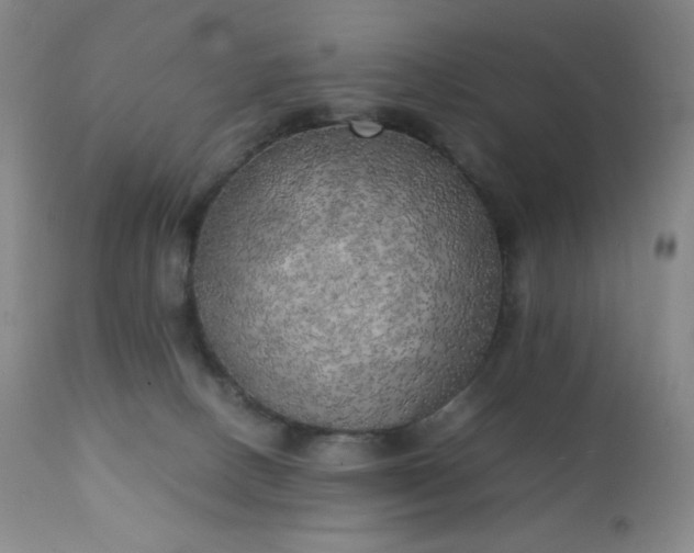 X0000111150082200906301347