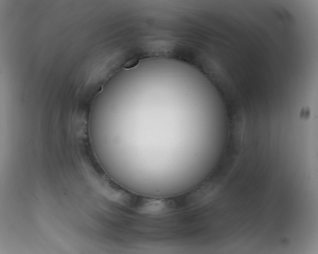 X0000111150083200906301347