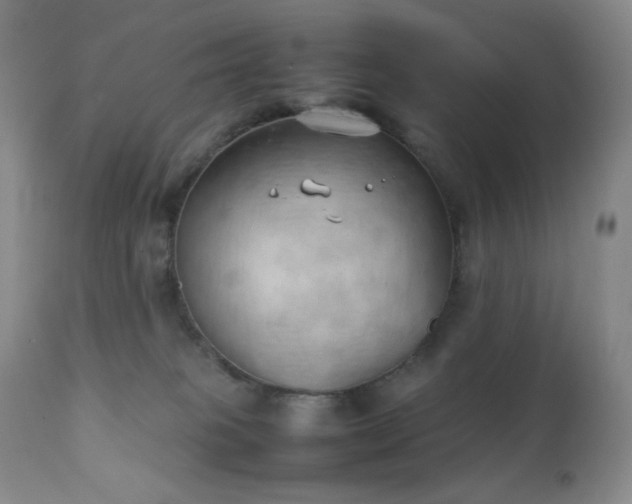 X0000111150085200906301347