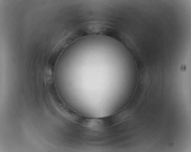X0000111150087200906301347
