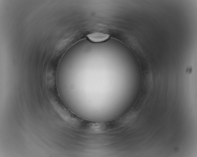 X0000111150088200906301347