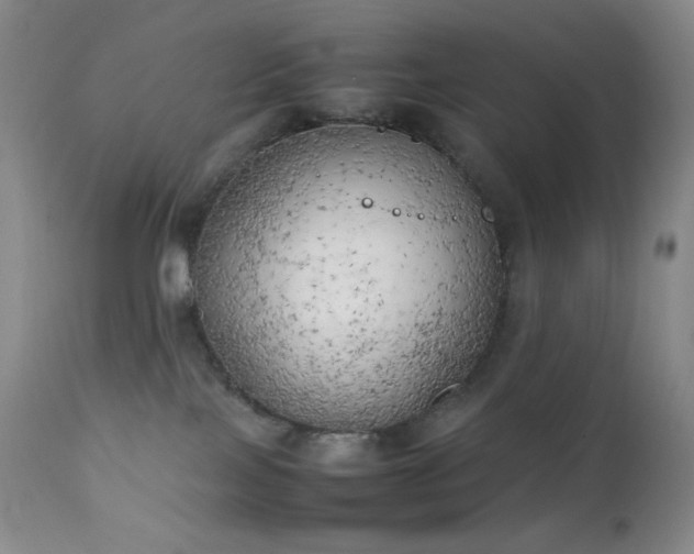 X0000111150089200906301347