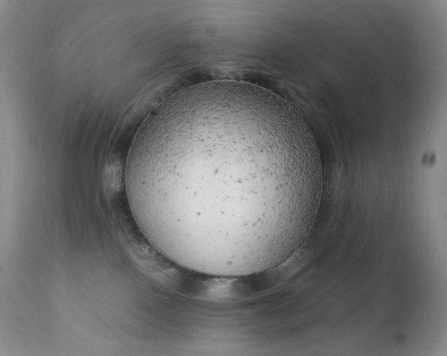 X0000111150090200906301347