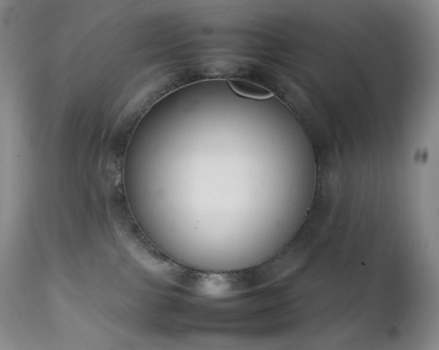 X0000111150091200906301347