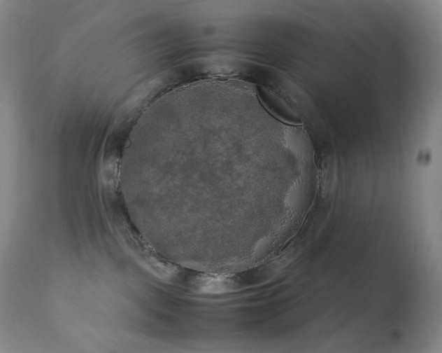 X0000111150093200906301347