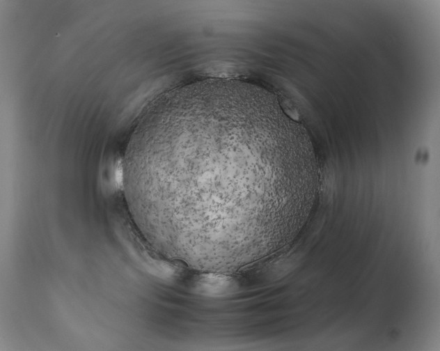 X0000111150095200906301347