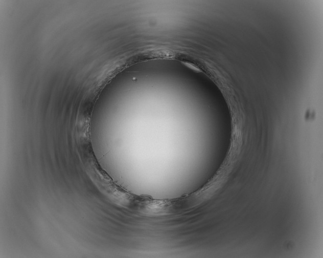X0000111150096200906301347