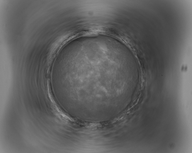 X0000111150097200906301346