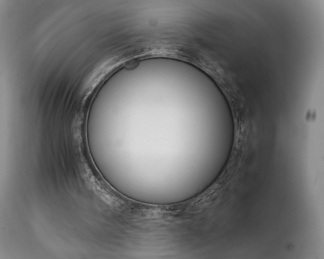 X0000111150098200906301346