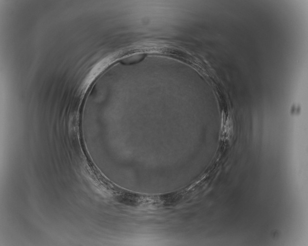 X0000111150099200906301346