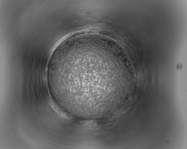 X0000111150100200906301346
