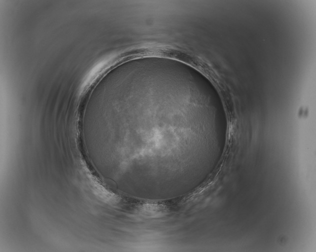 X0000111150101200906301346