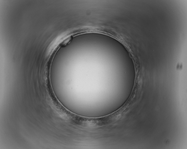 X0000111150103200906301346