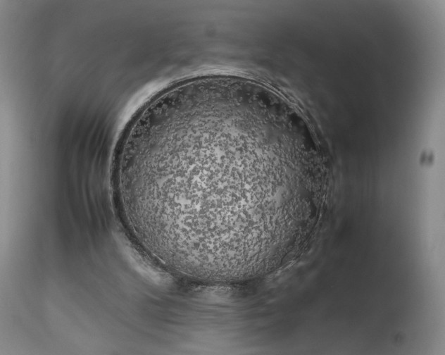 X0000111150104200906301346