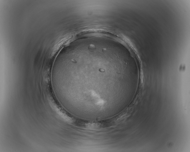X0000111150105200906301346