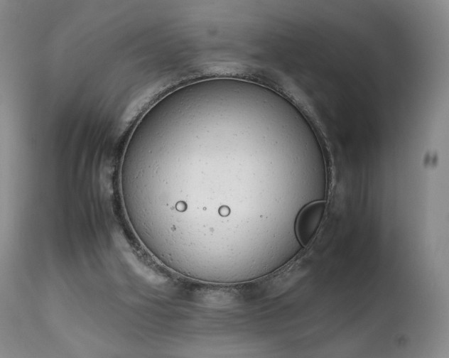 X0000111150106200906301346