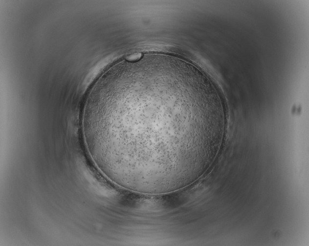 X0000111150107200906301346